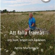 Att falla framåt, Agrita Martinsone föreläser