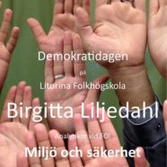 Demokratidagen 9de november