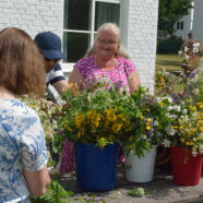 Traditionellt midsommarfirande