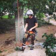 Arborist på Litorina